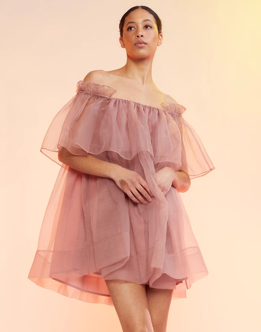 Cynthia Rowley Flirt Organza Dress 2 Cynthia Rowley Flirt Organza Dress